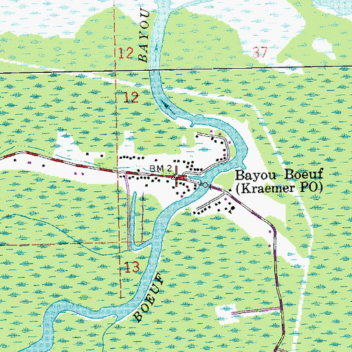 Topographic Map of Bayou Boeuf, LA