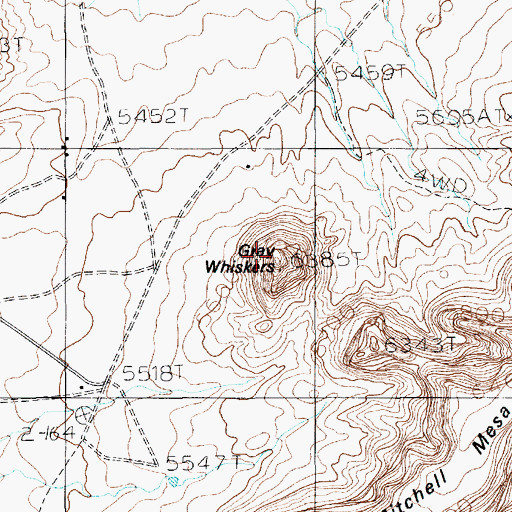 Topographic Map of Gray Whiskers, AZ