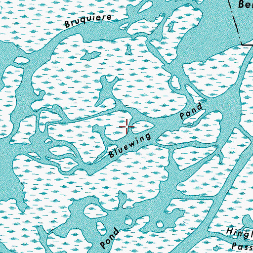 Topographic Map of Bluewing Pond, LA