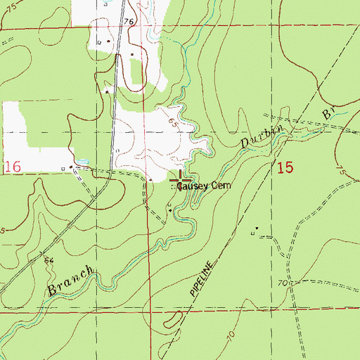 Topographic Map of Causey Cemetery, LA