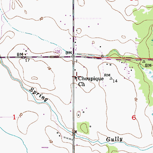Topographic Map of Choupique Church, LA