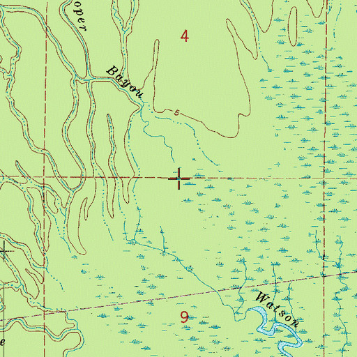 Topographic Map of Cooper Bayou, LA