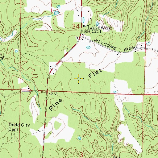 Topographic Map of Pine Flat, AR