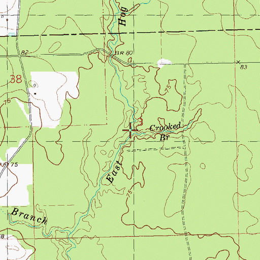 Topographic Map of Crooked Branch, LA