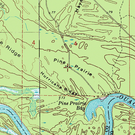 Topographic Map of Pine Prairie, AR