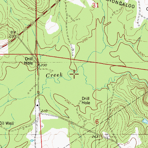 Topographic Map of Hall Branch, LA