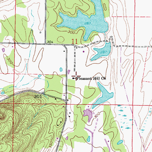 Topographic Map of Pleasant Hill Church, AR