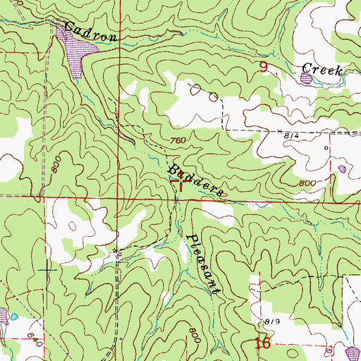 Topographic Map of Pleasant Springs Branch, AR