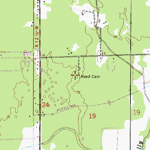 Topographic Map of Reed Cemetery, LA