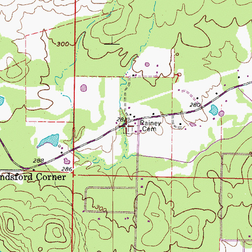 Topographic Map of Rainey Cemetery, AR