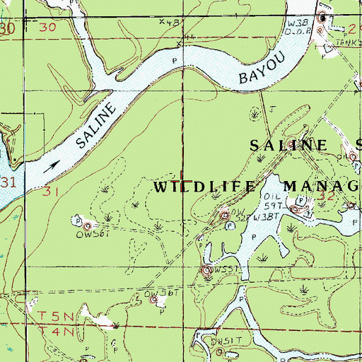 Topographic Map of Saline Lake Oil Field, LA