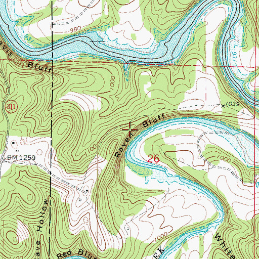 Topographic Map of Raven Bluff, AR