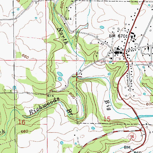 Topographic Map of Richwoods Branch, AR