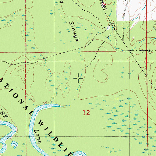 Topographic Map of Long Slough, LA