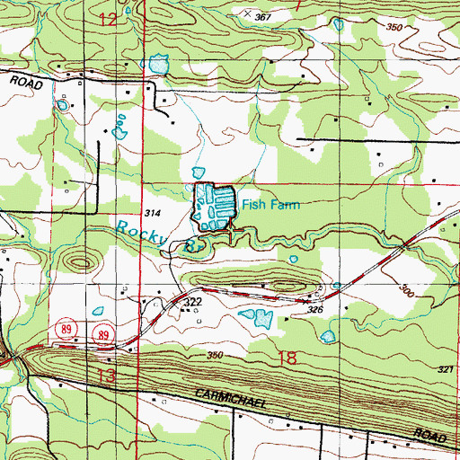 Topographic Map of Rocky Branch, AR