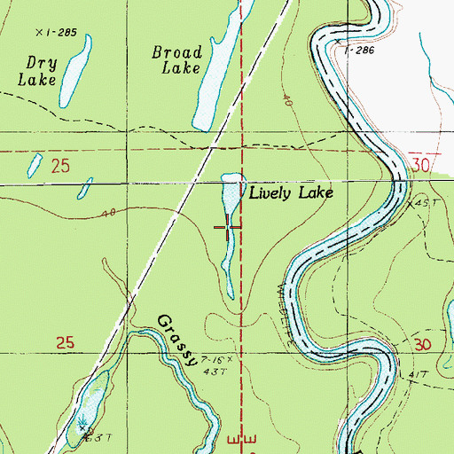 Topographic Map of Lively Lake, LA