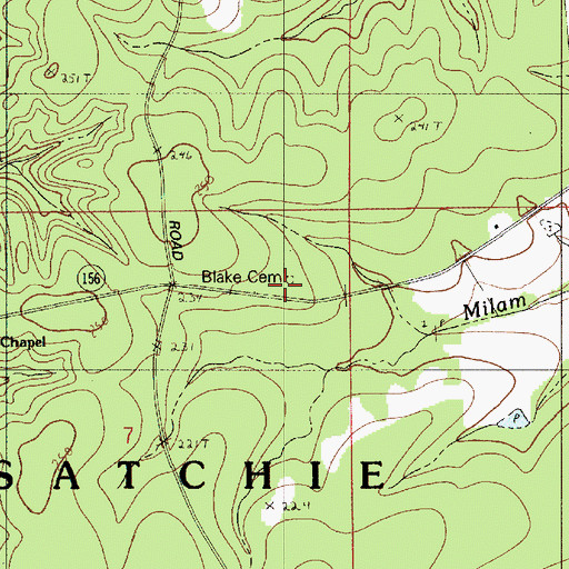 Topographic Map of Blake Cemetery, LA