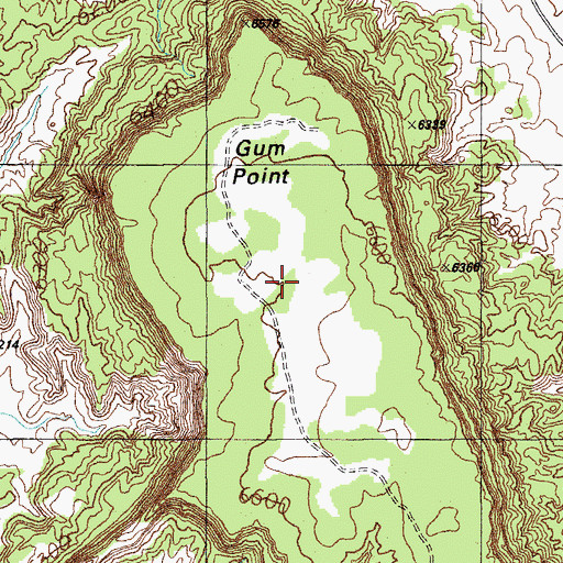 Topographic Map of Gum Point, AZ