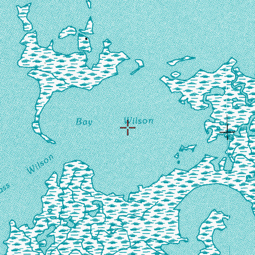 Topographic Map of Bay Wilson, LA