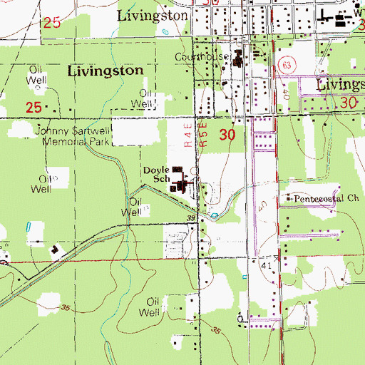 Topographic Map of Doyle Elementary School, LA
