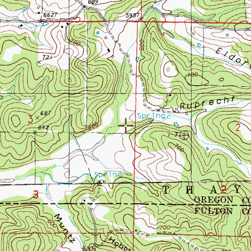 Topographic Map of Ruprecht Hollow, MO