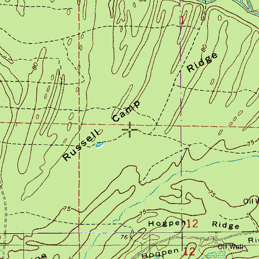 Topographic Map of Russell Camp Ridge, AR