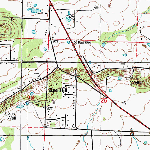Topographic Map of Rye Hill, AR