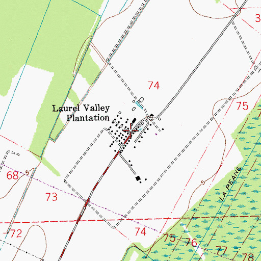 Topographic Map of Laurel Valley Plantation, LA