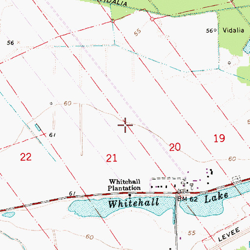 Topographic Map of Natchez Island Gas Field, LA
