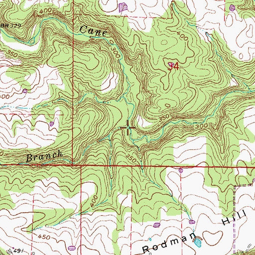 Topographic Map of Shiloh Branch, AR