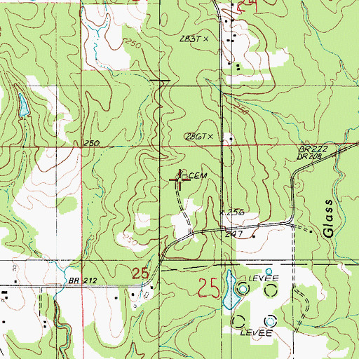 Topographic Map of Shiloh Cemetery, LA