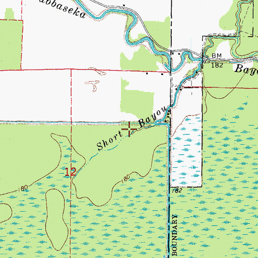 Topographic Map of Short Bayou, AR
