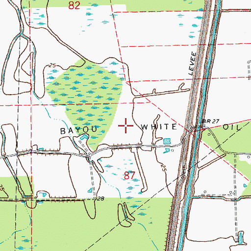 Topographic Map of Bayou White Oil Field, LA
