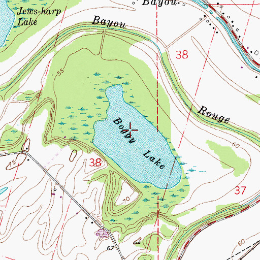 Topographic Map of Boggy Lake, LA