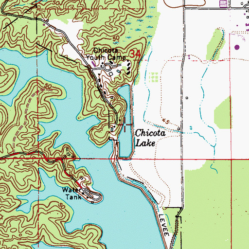 Topographic Map of Chicota Lake, LA