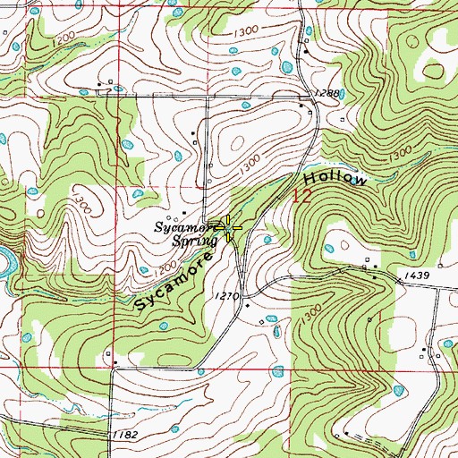 Topographic Map of Sycamore Spring, AR