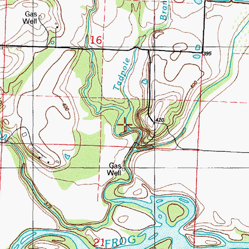Topographic Map of Tadpole Branch, AR