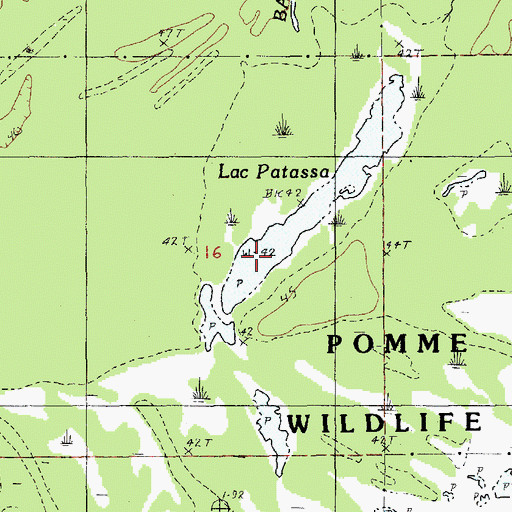 Topographic Map of Lac Patassa, LA