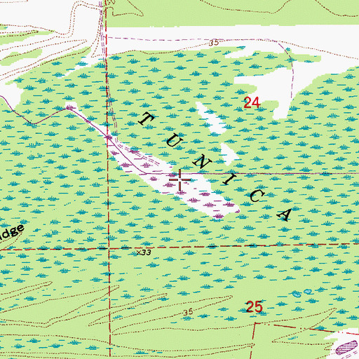 Topographic Map of Lake Platt, LA