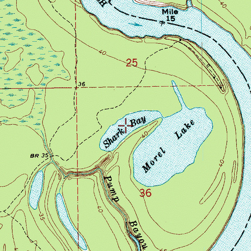 Topographic Map of Shark Bay, LA
