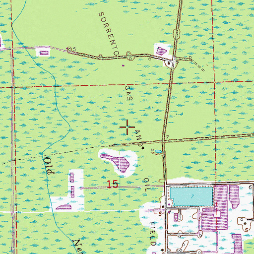 Topographic Map of Sorrento Gas and Oil Field, LA