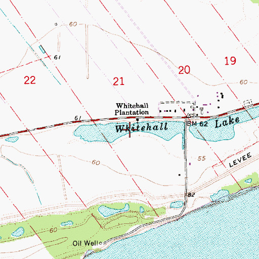 Topographic Map of Whitehall Lake, LA