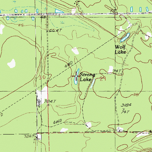 Topographic Map of Strong Lake, LA