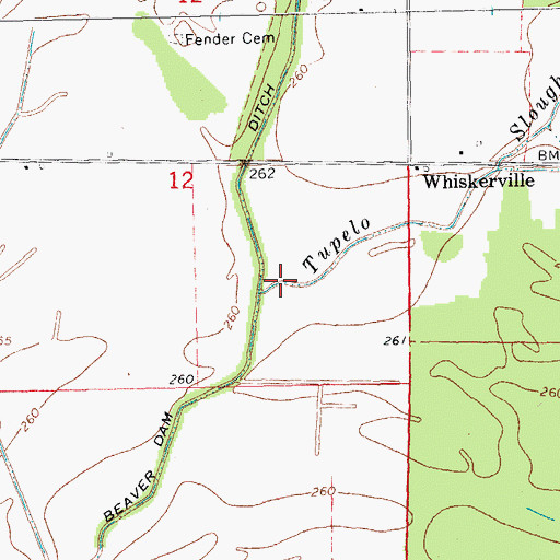 Topographic Map of Tupelo Slough, AR