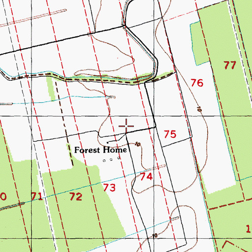 Topographic Map of Forest Home, LA