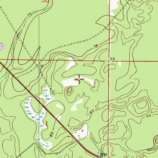 Topographic Map of Allen Parish, LA