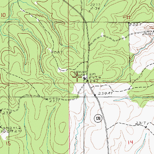 Topographic Map of Holum Lookout Tower, LA