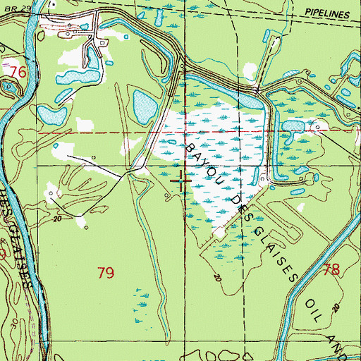 Topographic Map of Bayou Des Glaises Oil and Gas Field, LA