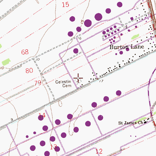 Topographic Map of Celestin Cemetery, LA