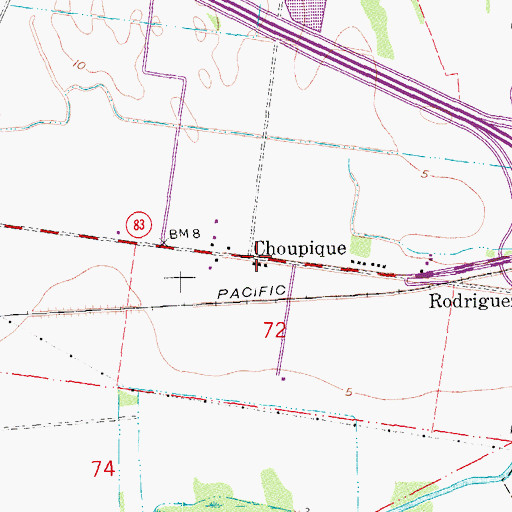 Topographic Map of Choupique, LA